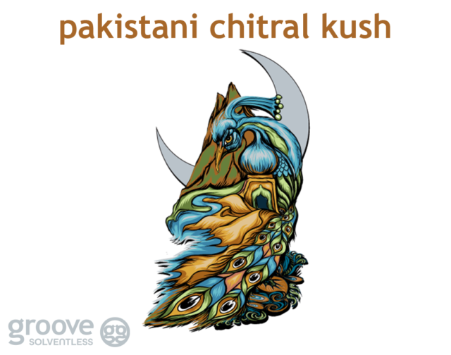 New Strain Drops North Shore Maui and Pakistani Chitral Kush Groove