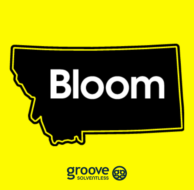 Find Your Groove at Bloom