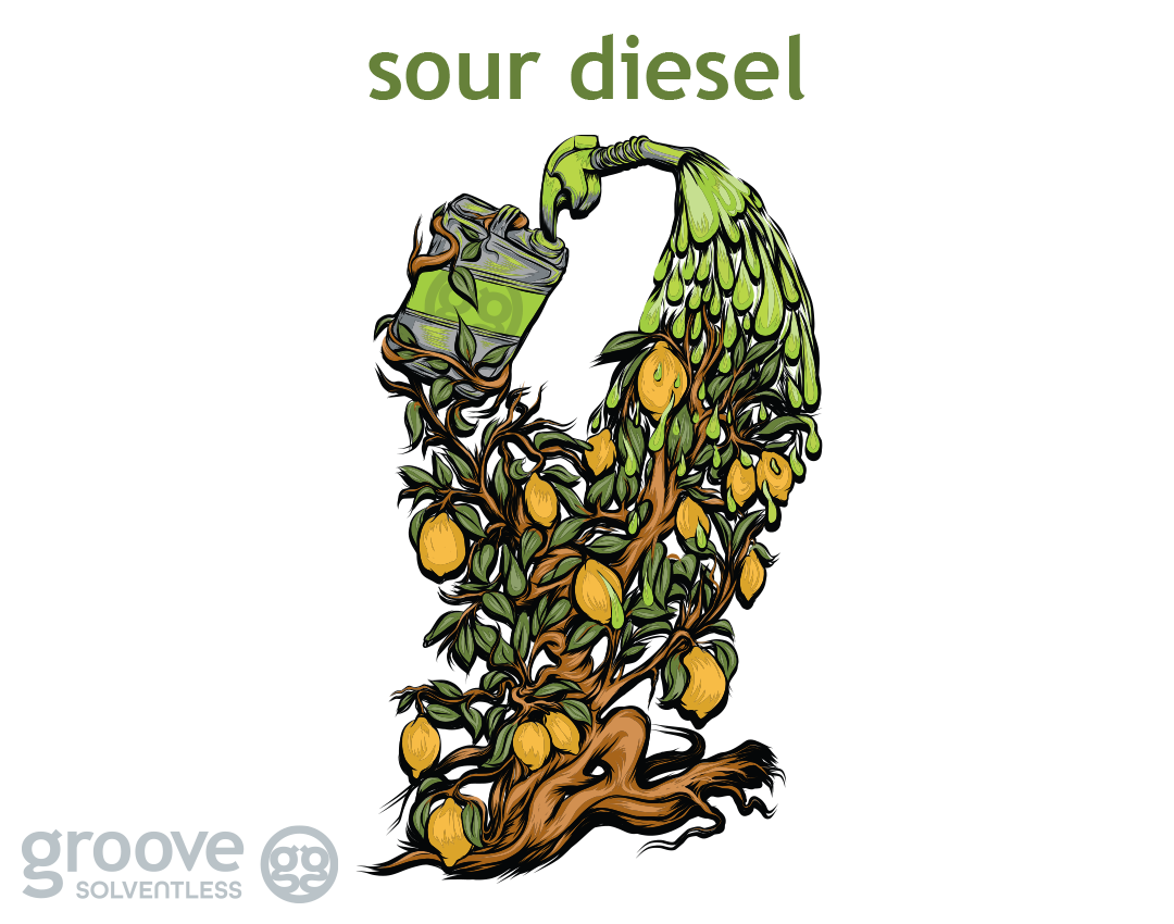new strain drop sour diesel