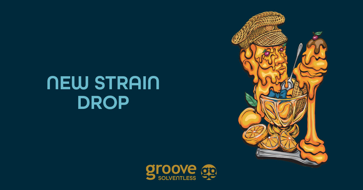 Strain Drop: Ice Cream Man