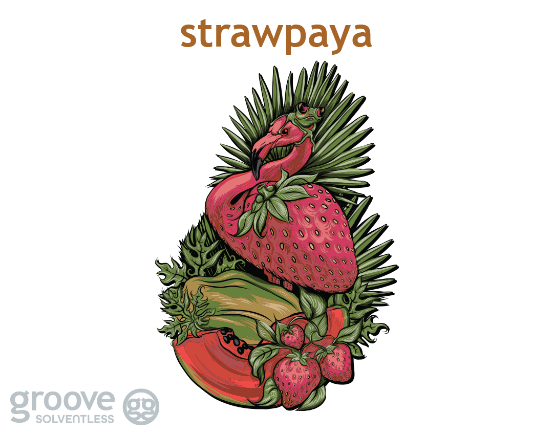 strawpaya
