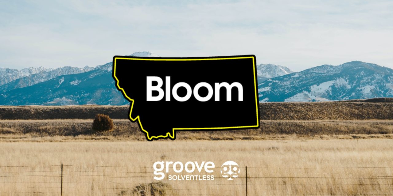 https://groovesolventless.com/wp-content/uploads/2022/09/Bloom-Blog-Header-1280x640.jpg