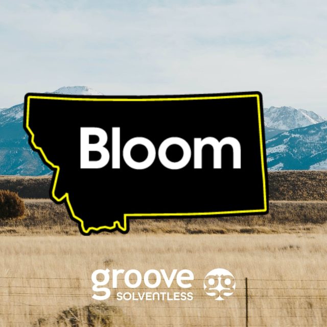 Inventory Update: Bloom Four Corners