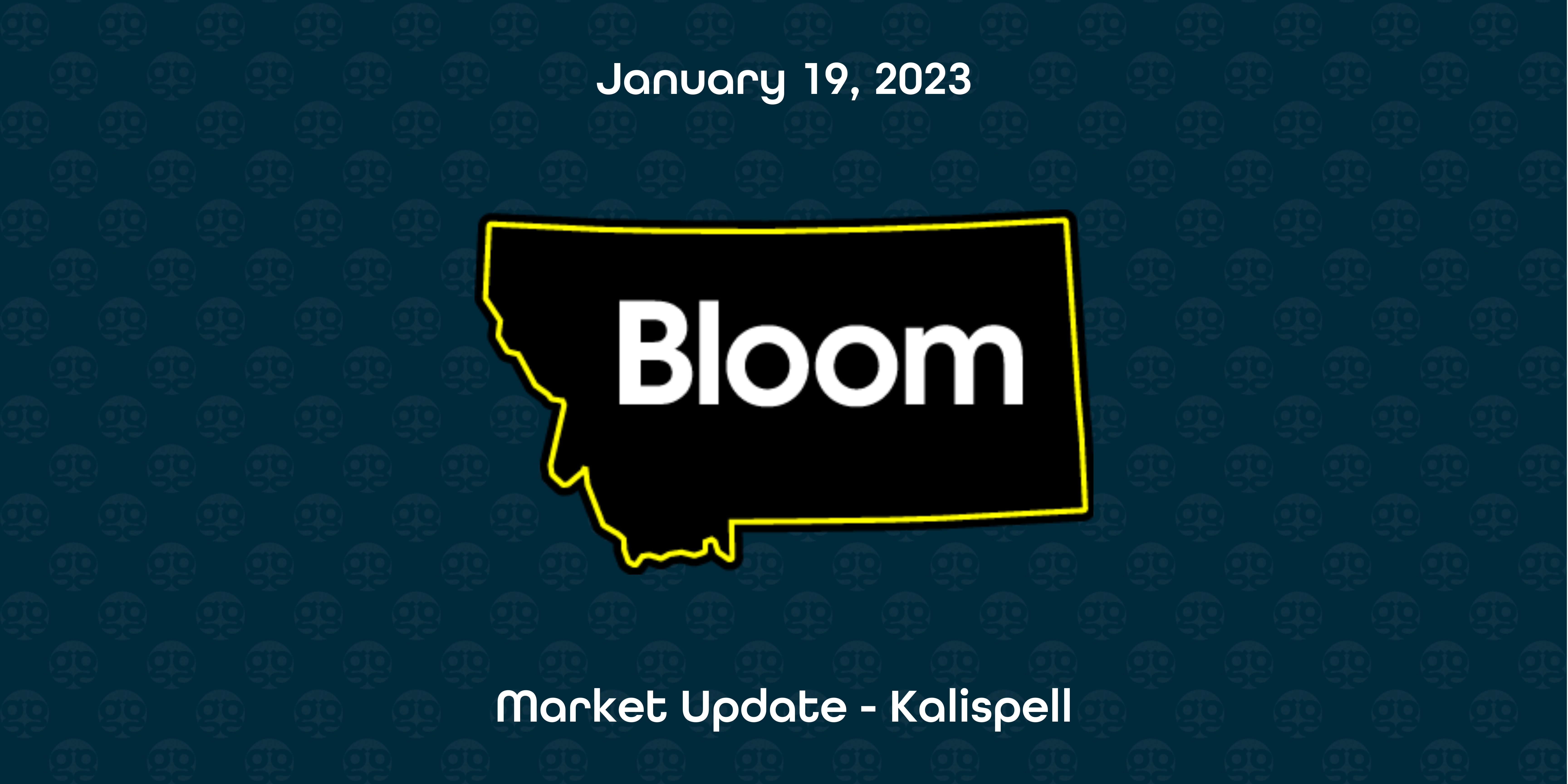 Groove Report: Bloom Kalispell – Honey Bunny Now Available