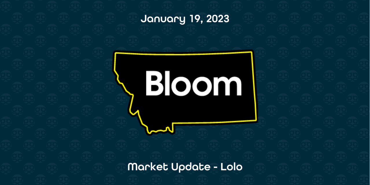 https://groovesolventless.com/wp-content/uploads/2023/01/Blog-Header-Bloom-Lolo-1280x640.png