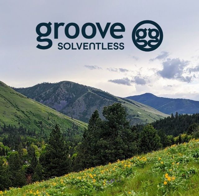 https://groovesolventless.com/wp-content/uploads/2023/04/Social-Groove-Solventless-spring-640x628.jpg