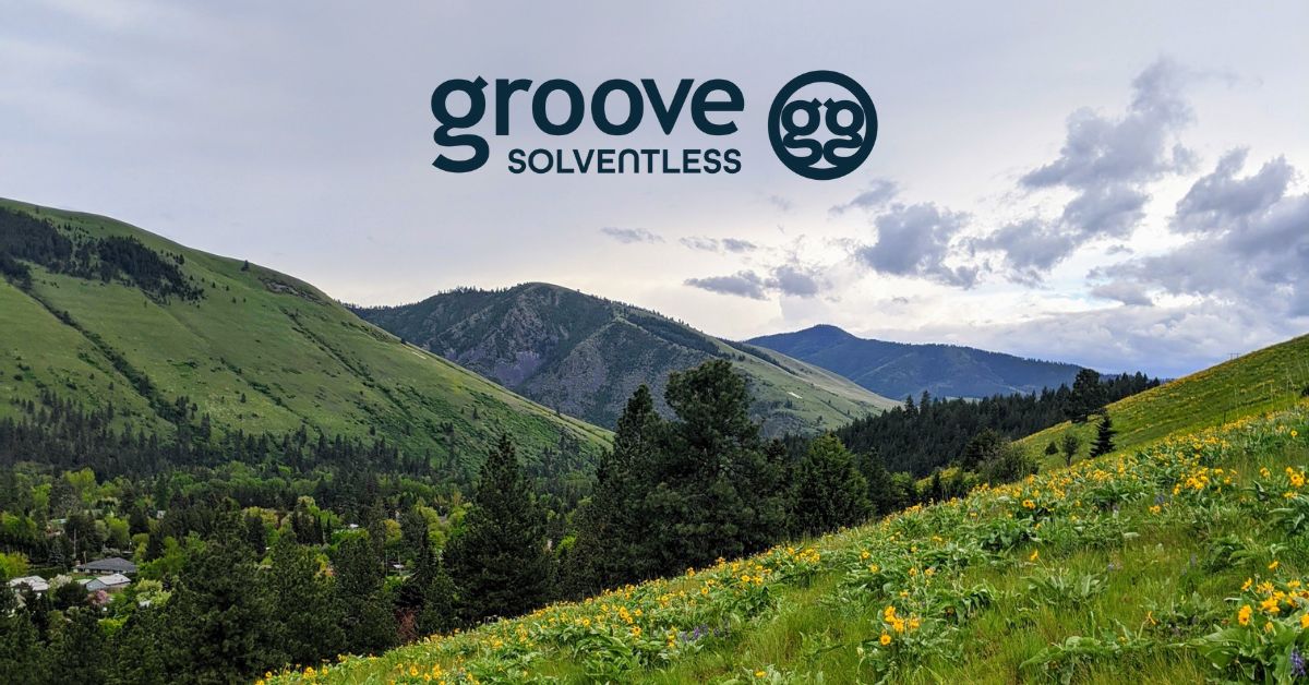 https://groovesolventless.com/wp-content/uploads/2023/04/Social-Groove-Solventless-spring.jpg