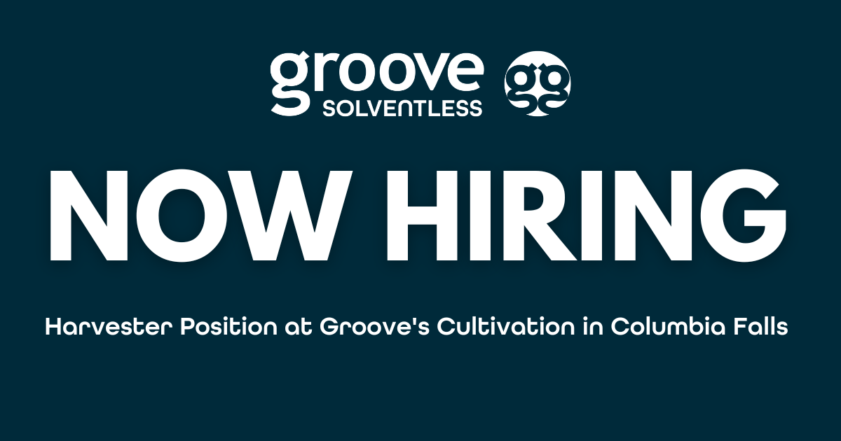 Harvester Job Opening Groove Solventless