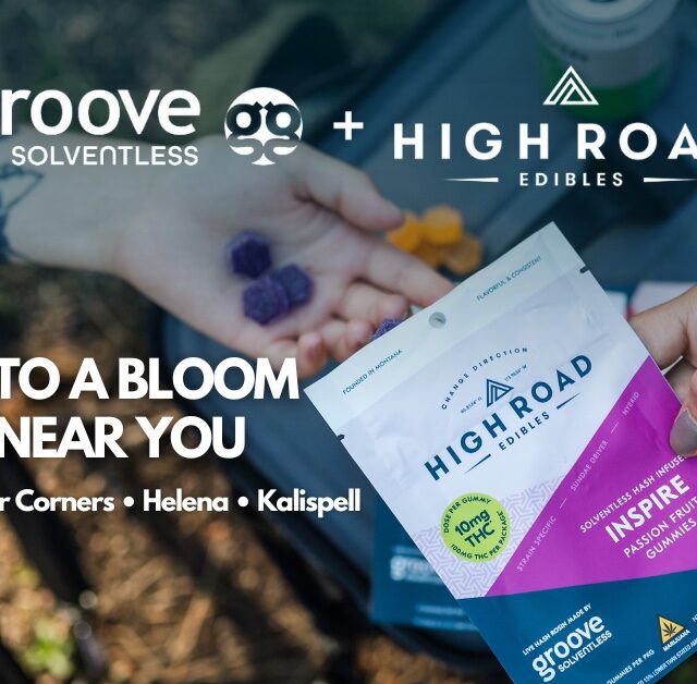 Groove x High Road Hash Gummies Now Available at Select Bloom Dispensaries