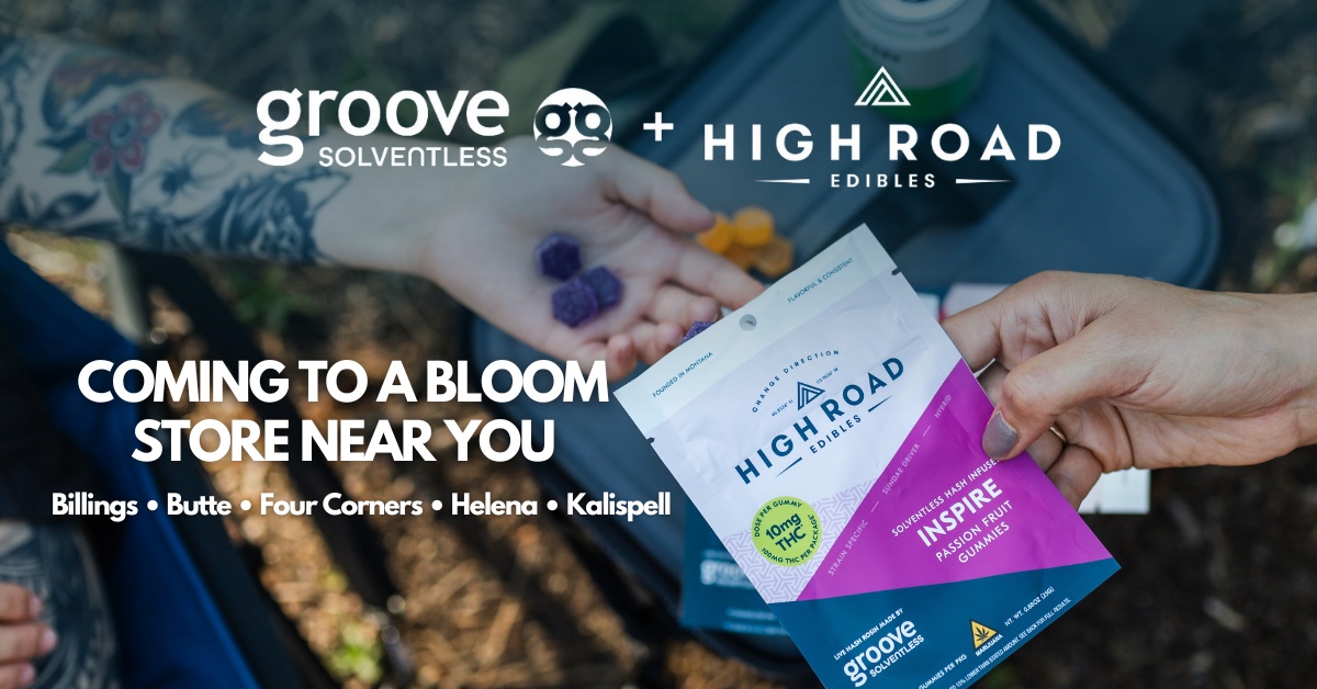 Groove x High Road Hash Gummies Now Available at Select Bloom Dispensaries