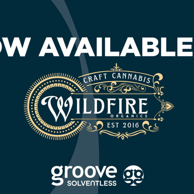 Belgrade’s Wildfire Organics Partners with Groove Solventless