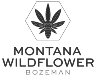 montana wildflower