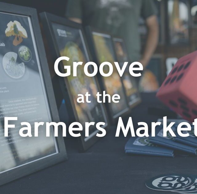 Groove at the Farmers Market in Missoula