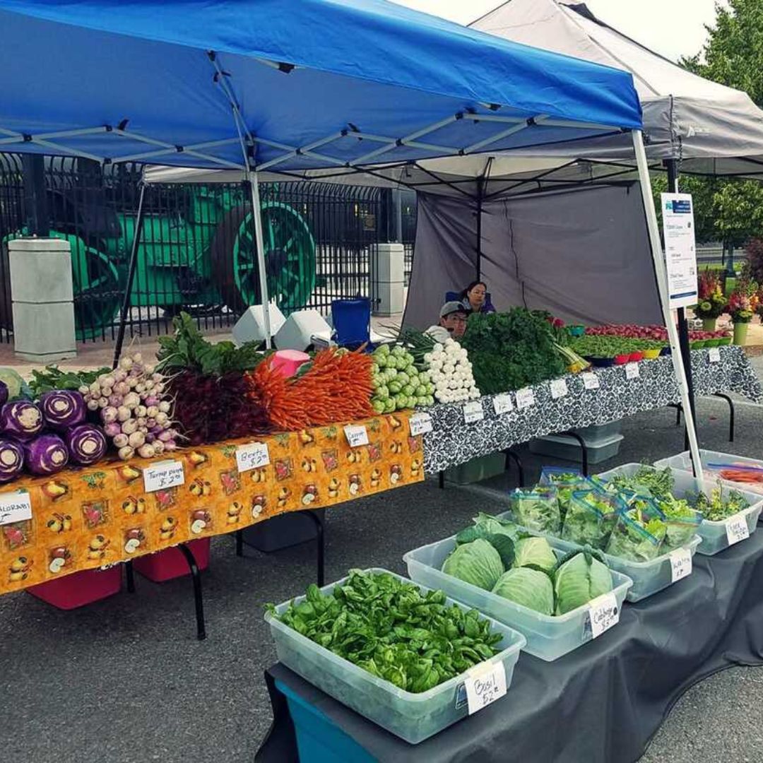 Farmers Market Stand