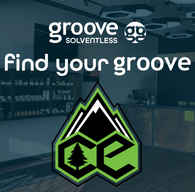 Find Your Groove at Collective Elevation