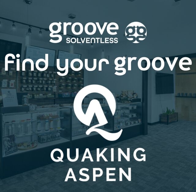 Find Your Groove at Quaking Aspen