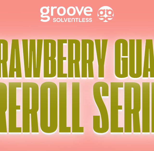 A Tropical Getaway: Strawberry Guava Solventless Infused PreRolls