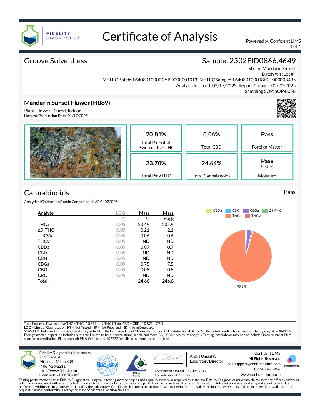 https://groovesolventless.com/wp-content/uploads/2025/02/Mandarin-Sunset-Flower-HB891013-pdf.jpg