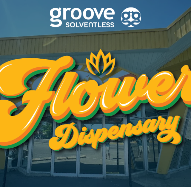 Find Your Groove at Flower