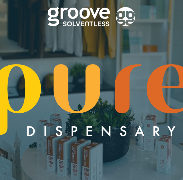 Find Your Groove at Pure