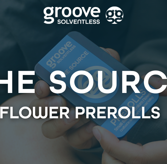 Introducing The Source Prerolls