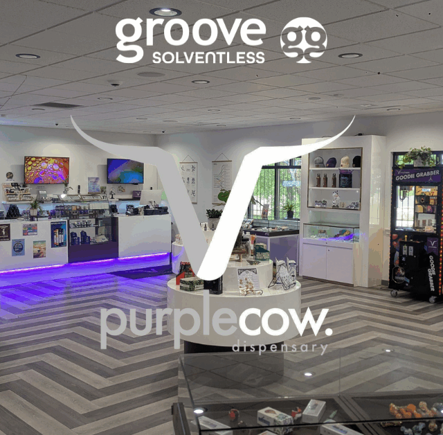 Find Your Groove at Purple Cow Dispensary