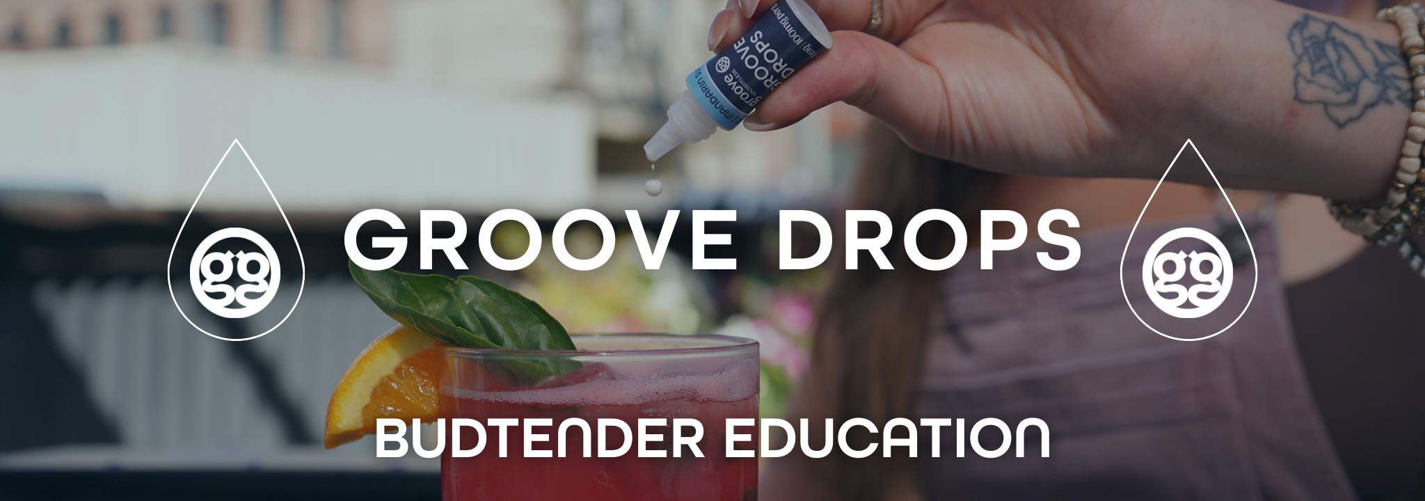 https://groovesolventless.com/wp-content/uploads/2025/07/Groove-Drops_Budtender-Education-Header2048-x-720-px-1.png