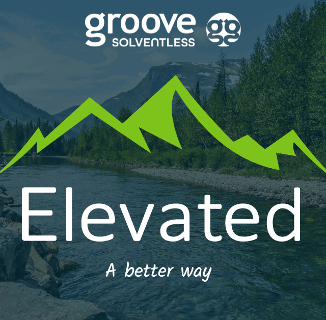Find Your Groove at Elevated