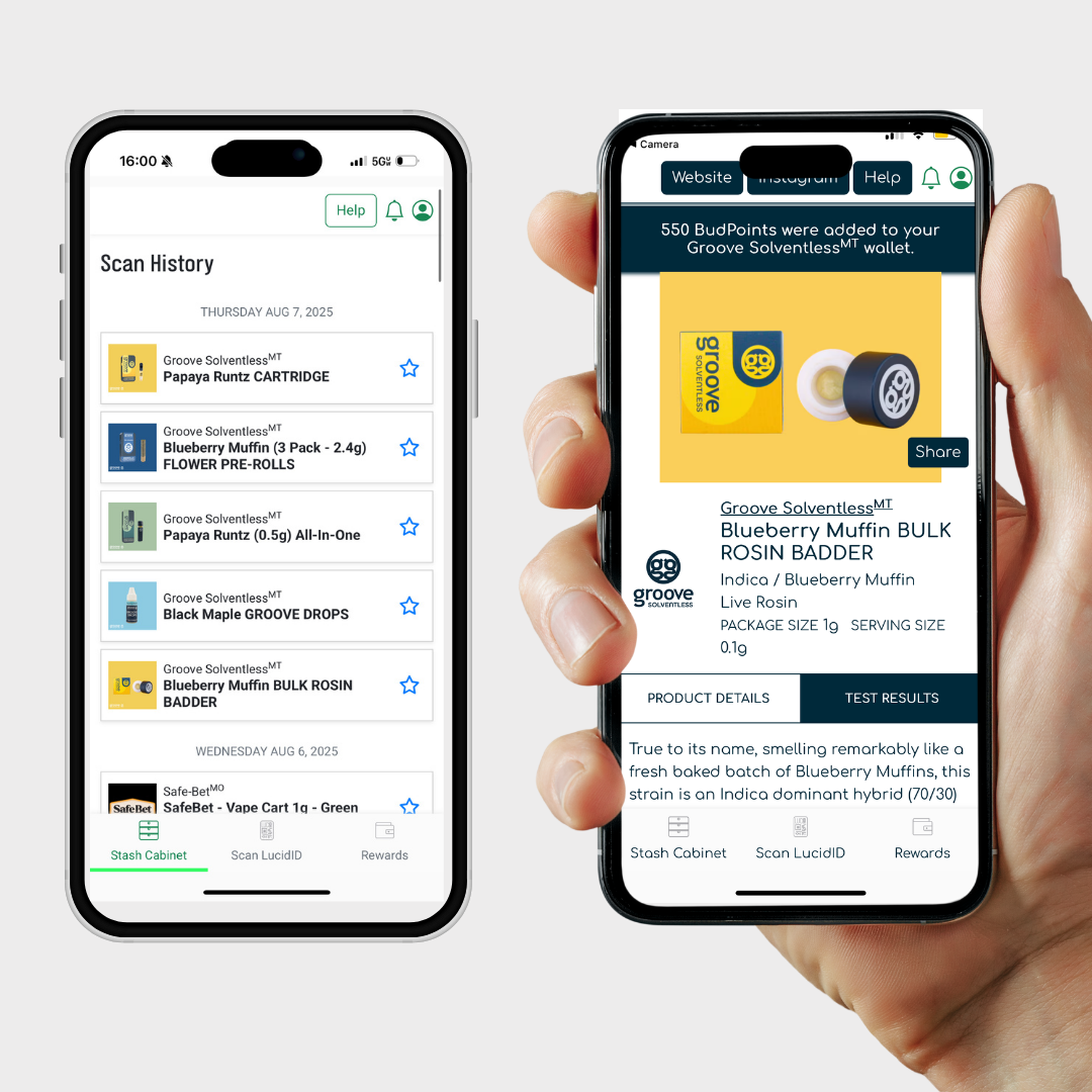 https://groovesolventless.com/wp-content/uploads/2025/08/Groove-Scans-Rewards-page.png
