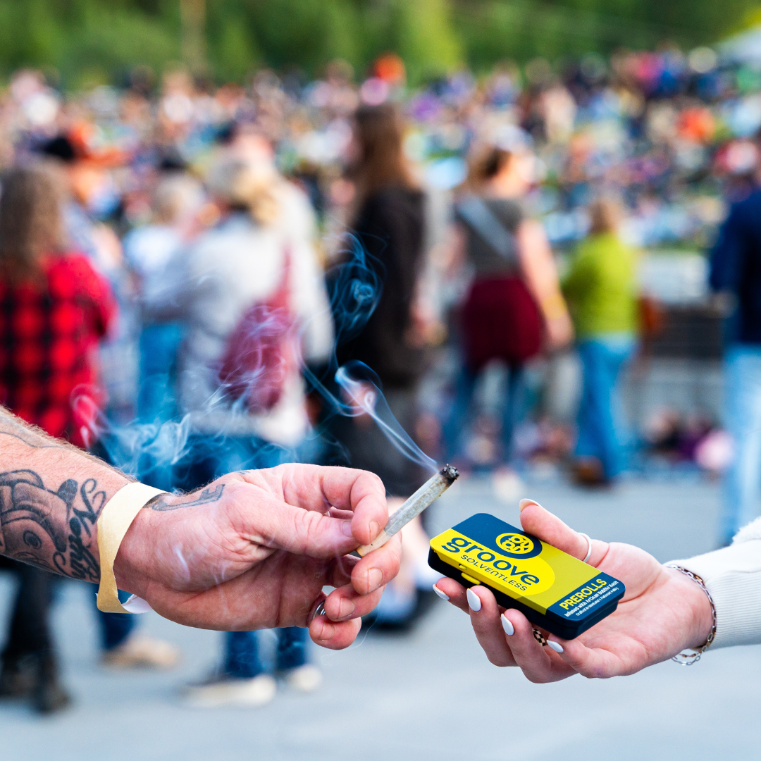 Groove KettleHouse Amp Specifc 7