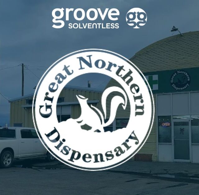 Find Your Groove at Great Northern Naturals