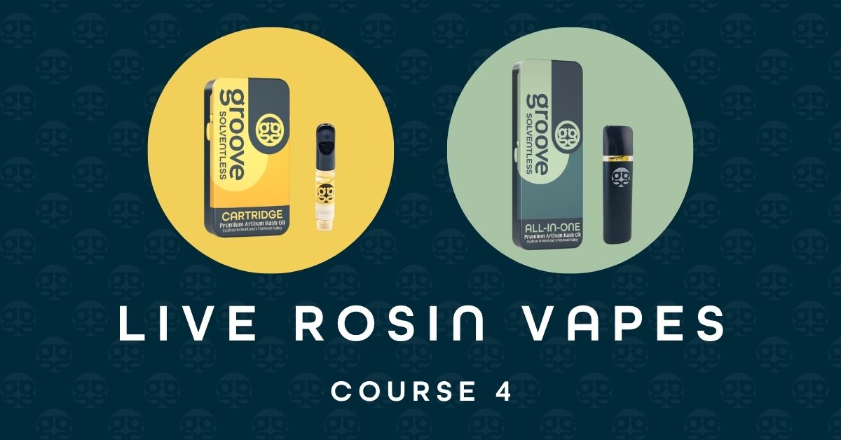 https://groovesolventless.com/wp-content/uploads/2026/03/Groove-Vape-Course-Header.jpg