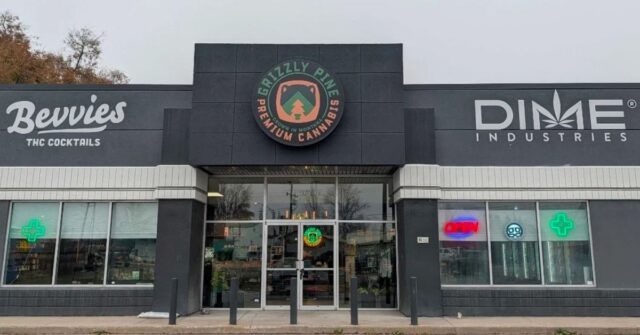 https://groovesolventless.com/wp-content/uploads/2026/05/Grizzly-Pine-640x335.jpg