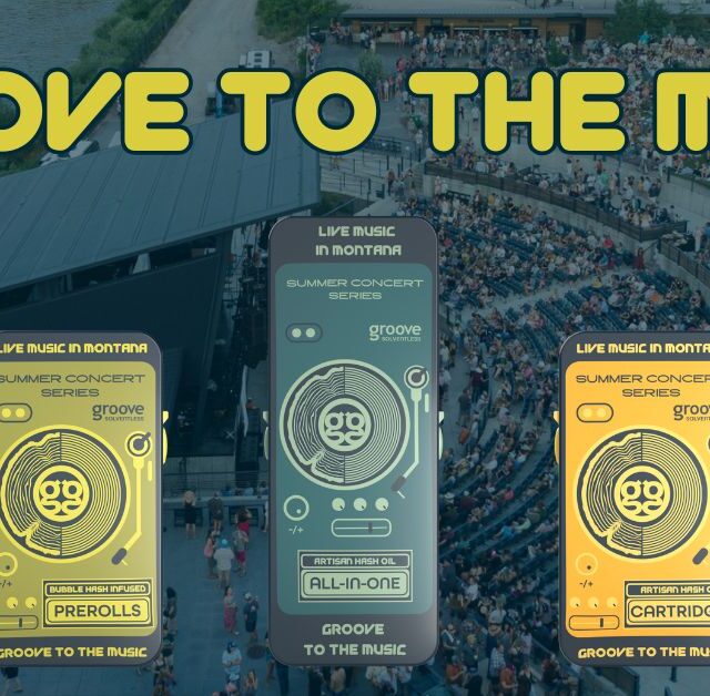 The Groove to the Music Summer Packaging Has Arrived
