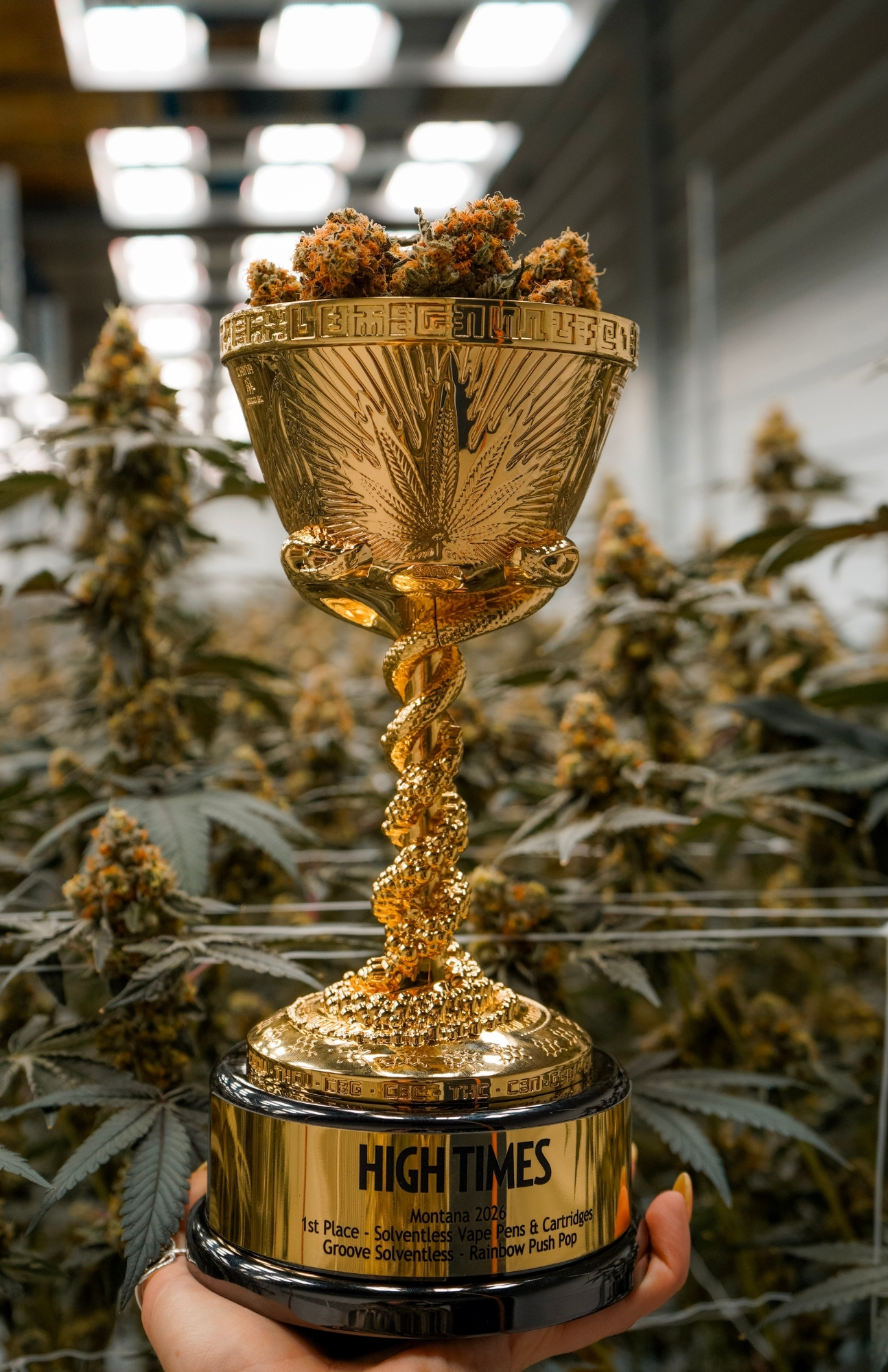 CannaCup2026 CannaCup2026