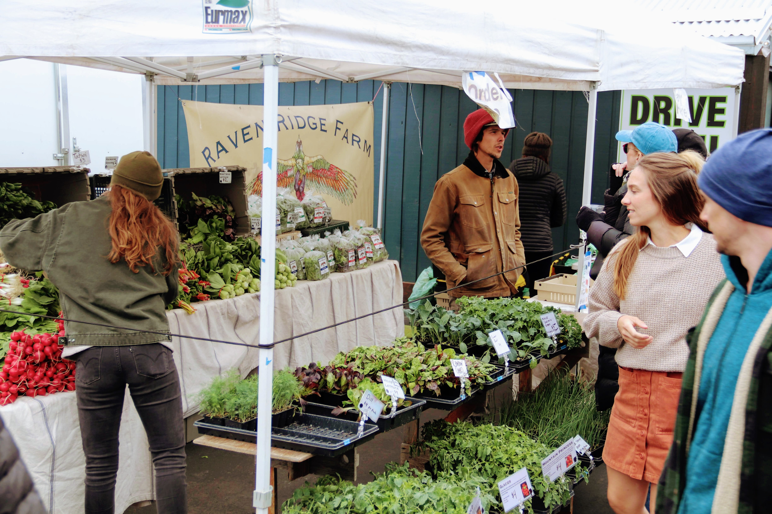 cfalls market